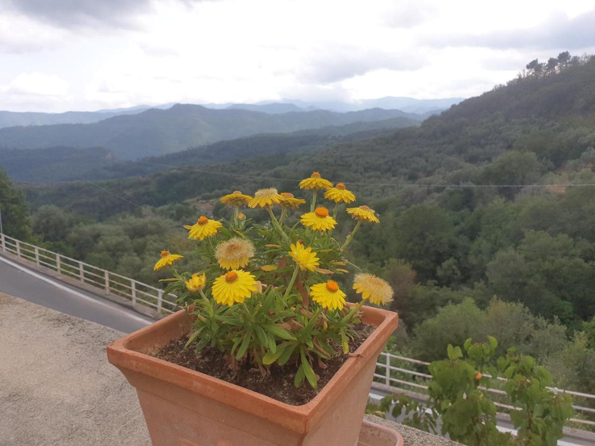Bed & Breakfast Ca' Di Vissai Arnasco Екстериор снимка