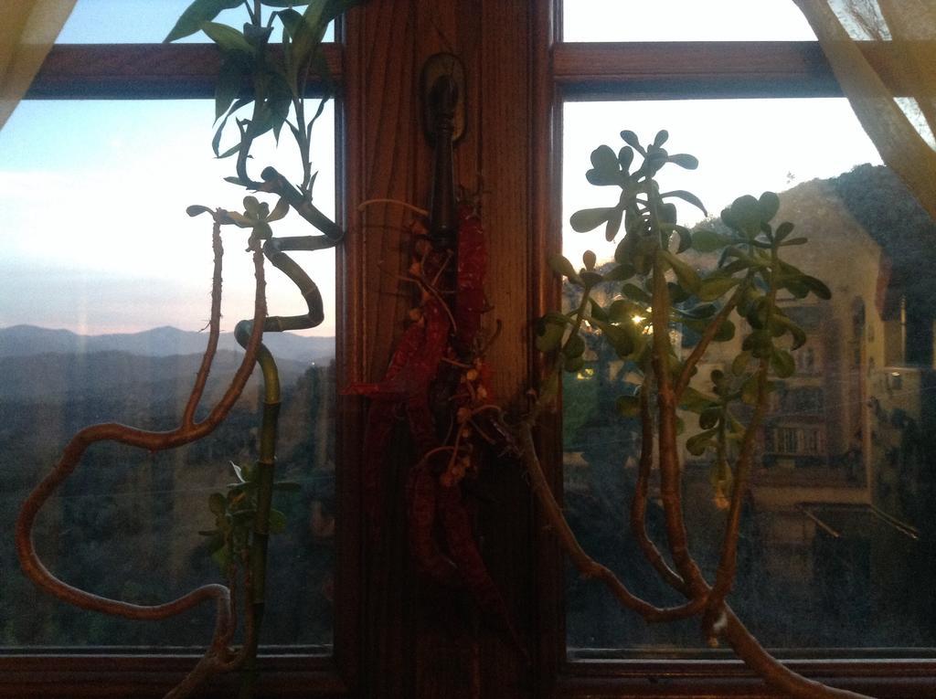 Bed & Breakfast Ca' Di Vissai Arnasco Екстериор снимка