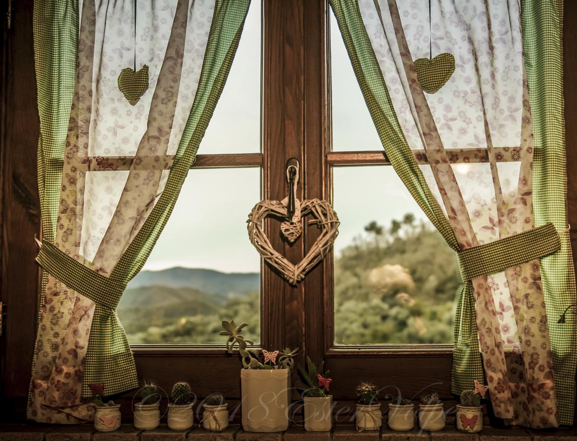 Bed & Breakfast Ca' Di Vissai Arnasco Екстериор снимка