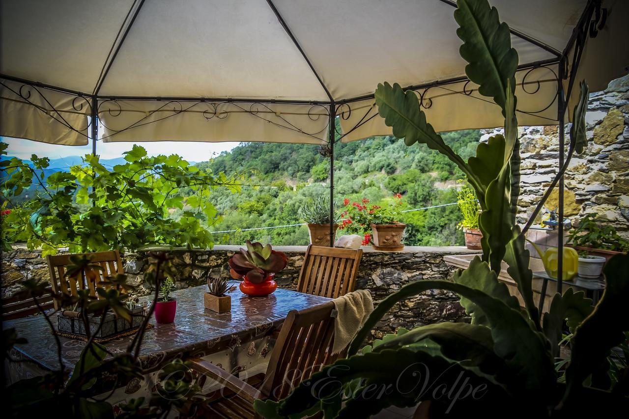 Bed & Breakfast Ca' Di Vissai Arnasco Екстериор снимка